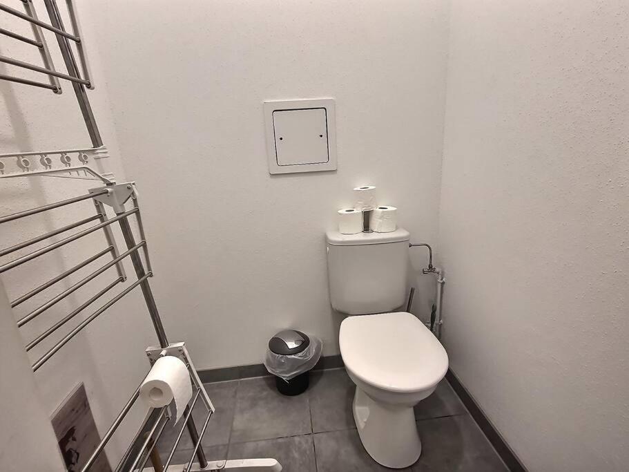 Superbe Appartement Avec 2 Balcons - Vue Sur La Cathedrale Environ 15 Min En Tram Strasbourg Ngoại thất bức ảnh